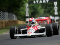 ajrton-sena-kisni-covek