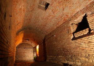 Ledenica kralja Milana - Botanička bašta