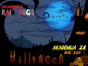 noc vestica akademija 28