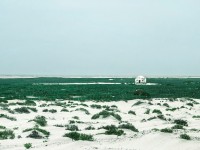 Borderline sonja zugic1