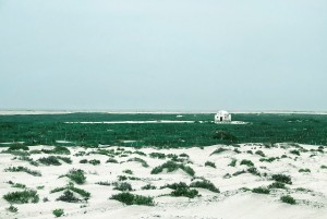 Borderline sonja zugic1