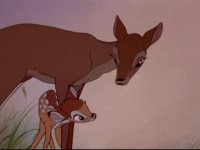 bambi