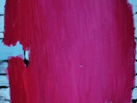 Mihaela-Vujnovic - Copy
