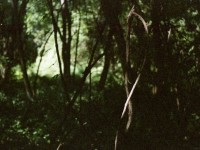 Milica-Nikolic-genius-loci-(5)