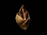 Milos Tomic - Lopta 21, 100cm x 150 cm, 2018 _ Archival pigment print (Digigraphie by Epson)