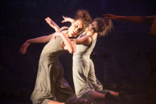 Madness_Plesna udruga Sjene_foto Nino Šolić (2)